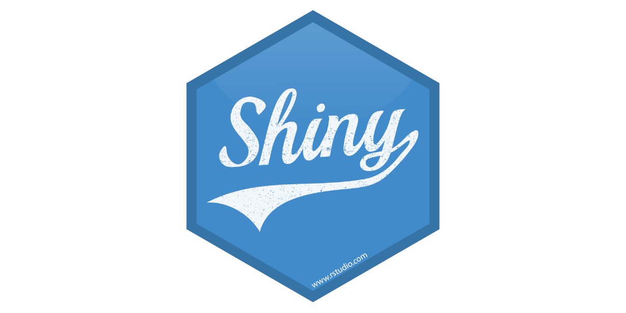shiny application logo