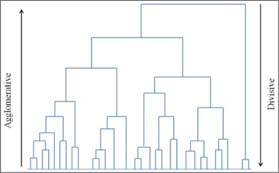 Hierarchical methods yield dendrograms that are formed in one of two directions. [@saxenaReviewClusteringTechniques2017]